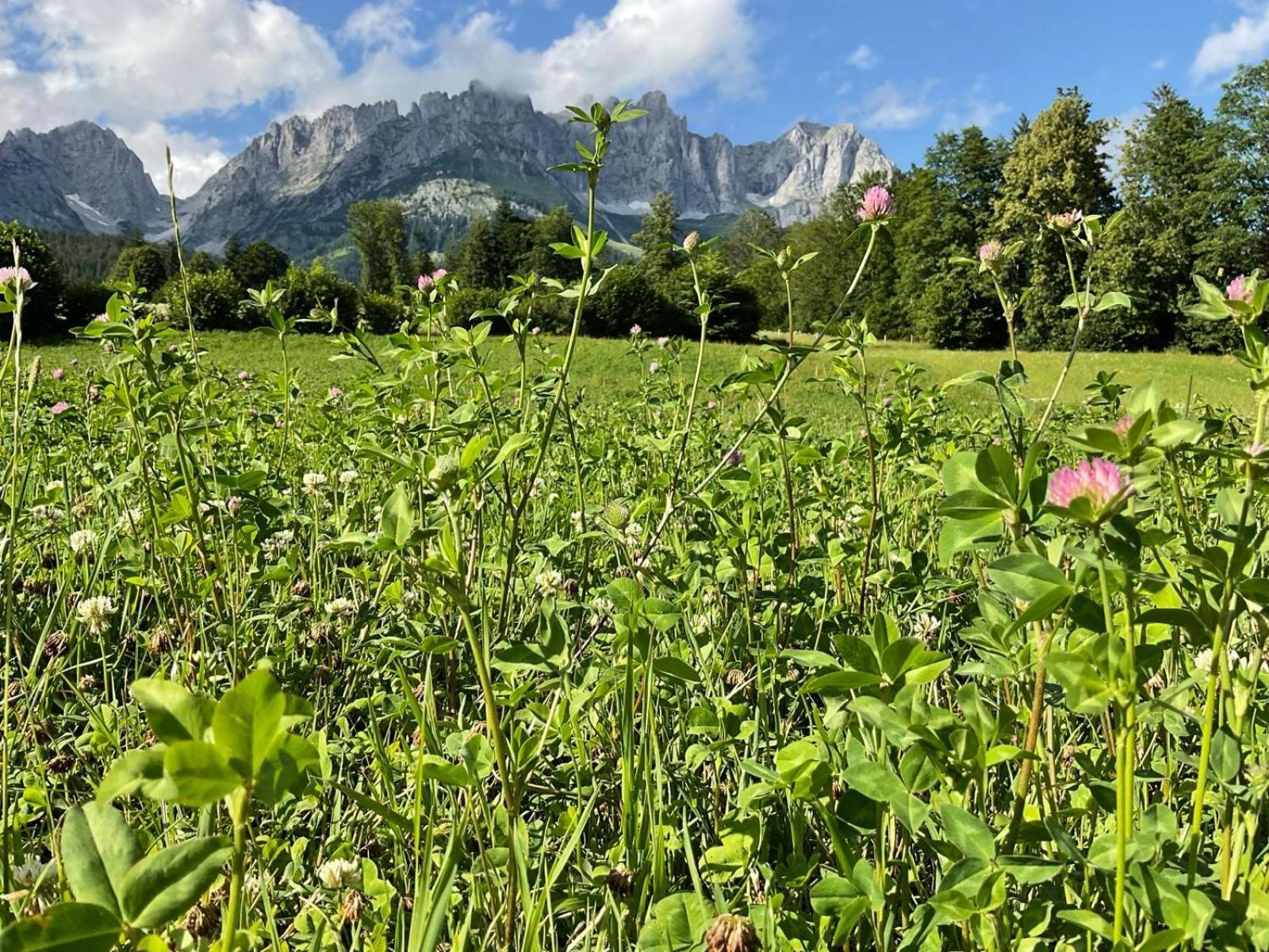 Chalet Belle Kitz By Belle Stay Kitzbühel Zewnętrze zdjęcie